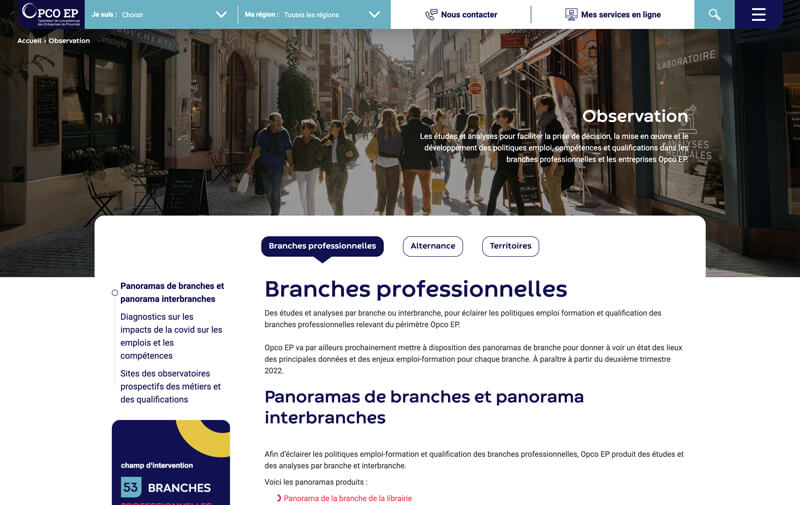 Mission d’observation : panoramas branches