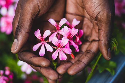 Appui Conseil RSE : Soutenir l'Engagement des Entreprises pour un Avenir Durable en Guadeloupe et Martinique 